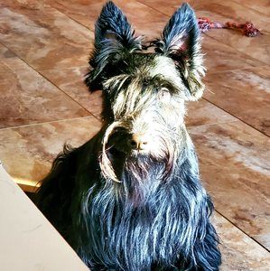 Meet your Posher, Rickandstacey